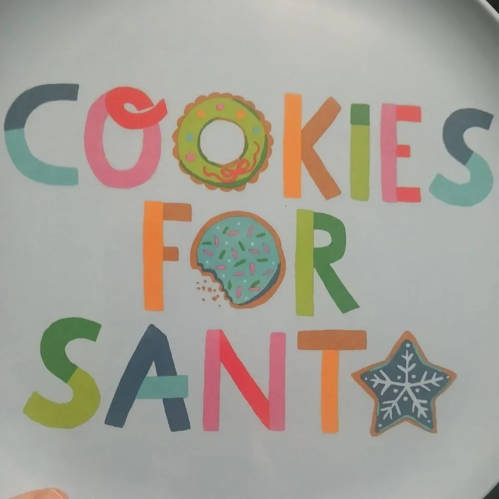Wondershop Target Dinner Plate Colorful Cookies for Santa Rainbow Multi-Color